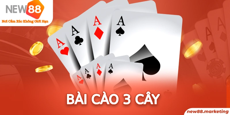 long bảo trong baccarat là gì