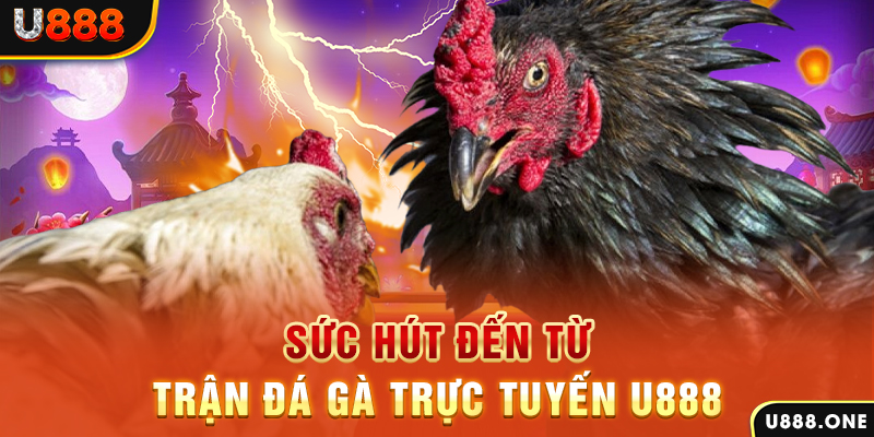 777loc đá gà trực tiếp c1