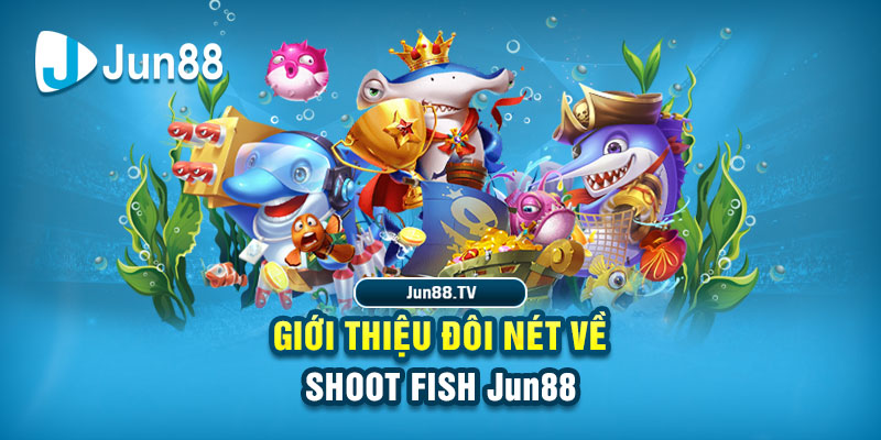 777loc đá gà