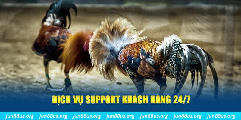 777loc ÁT CHỦ BÀI GIÀNH LẤY ZHUANG NIUNIU ( XEM 4 LÁ )