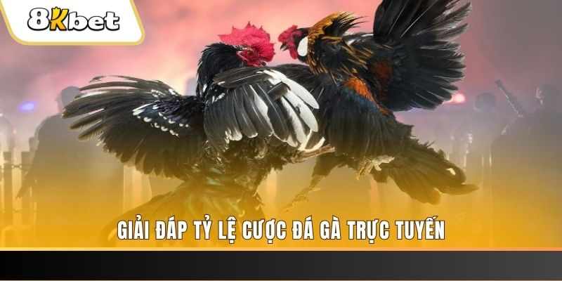 777loc xổ số đài miền trung