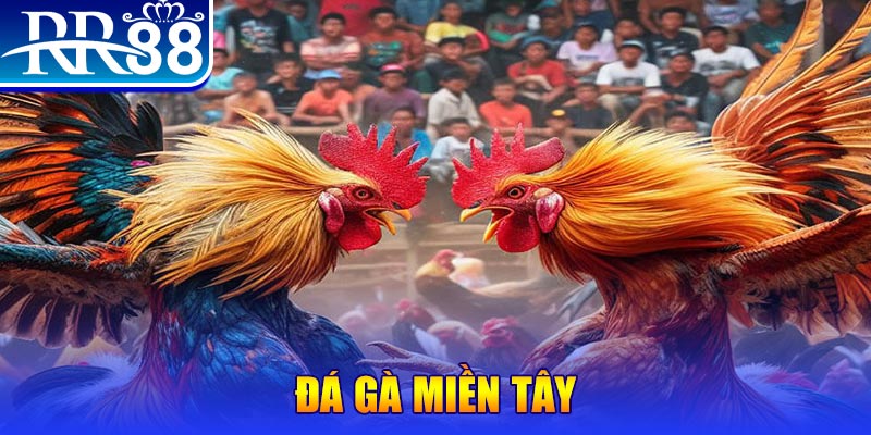 777loc no hu doi thuong ai