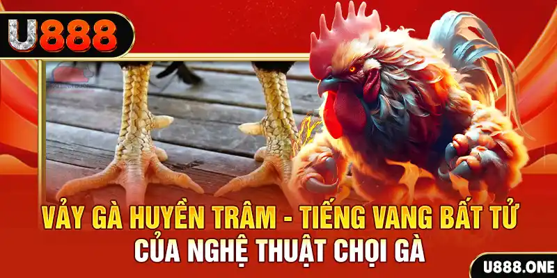 777loc xổ số miền bắc ngày hôm nay