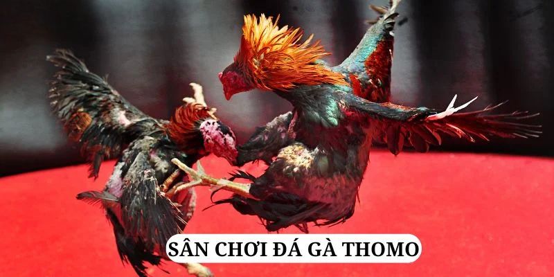 777loc trực tiếp xổ số miền bắc